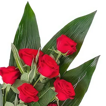 Barcelona flowers  -  Glowing Tribute Bouquet Flower Bouquet/Arrangement