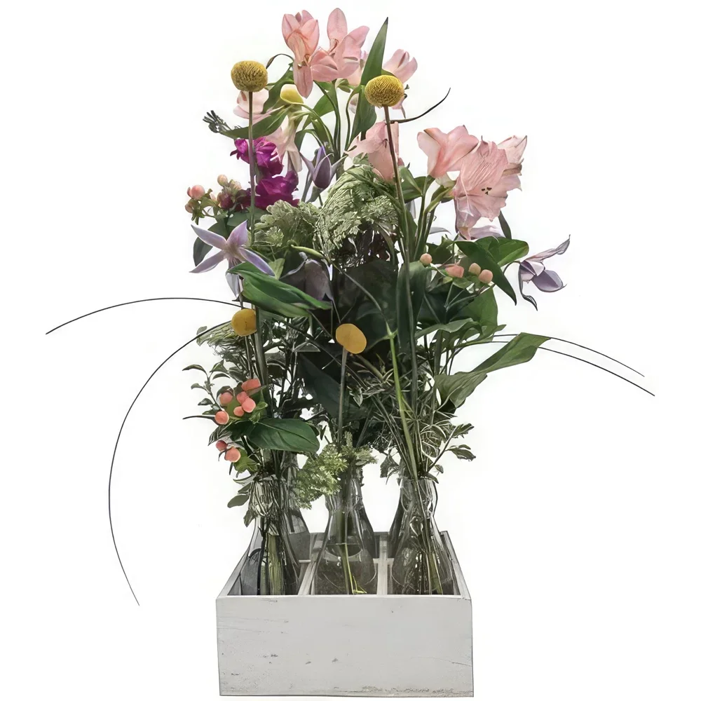 מדריד פרחים- צִבעוֹנִי זר פרחים/סידור פרחים