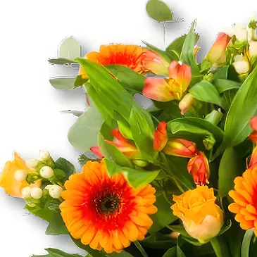 Holland flowers  -  Bouquet Sunshine Flower Bouquet/Arrangement