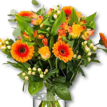 Holland flowers  -  Bouquet Sunshine Flower Bouquet/Arrangement