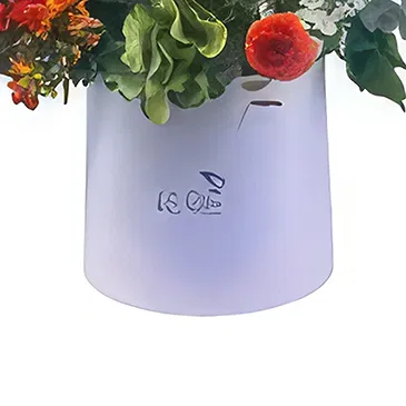 Adma flowers  -  Green Time Flower Bouquet/Arrangement