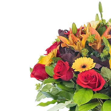 Italy flowers  -  Bouquet with red roses, yellow gerberas and o Flower Bouquet/Arrangement
