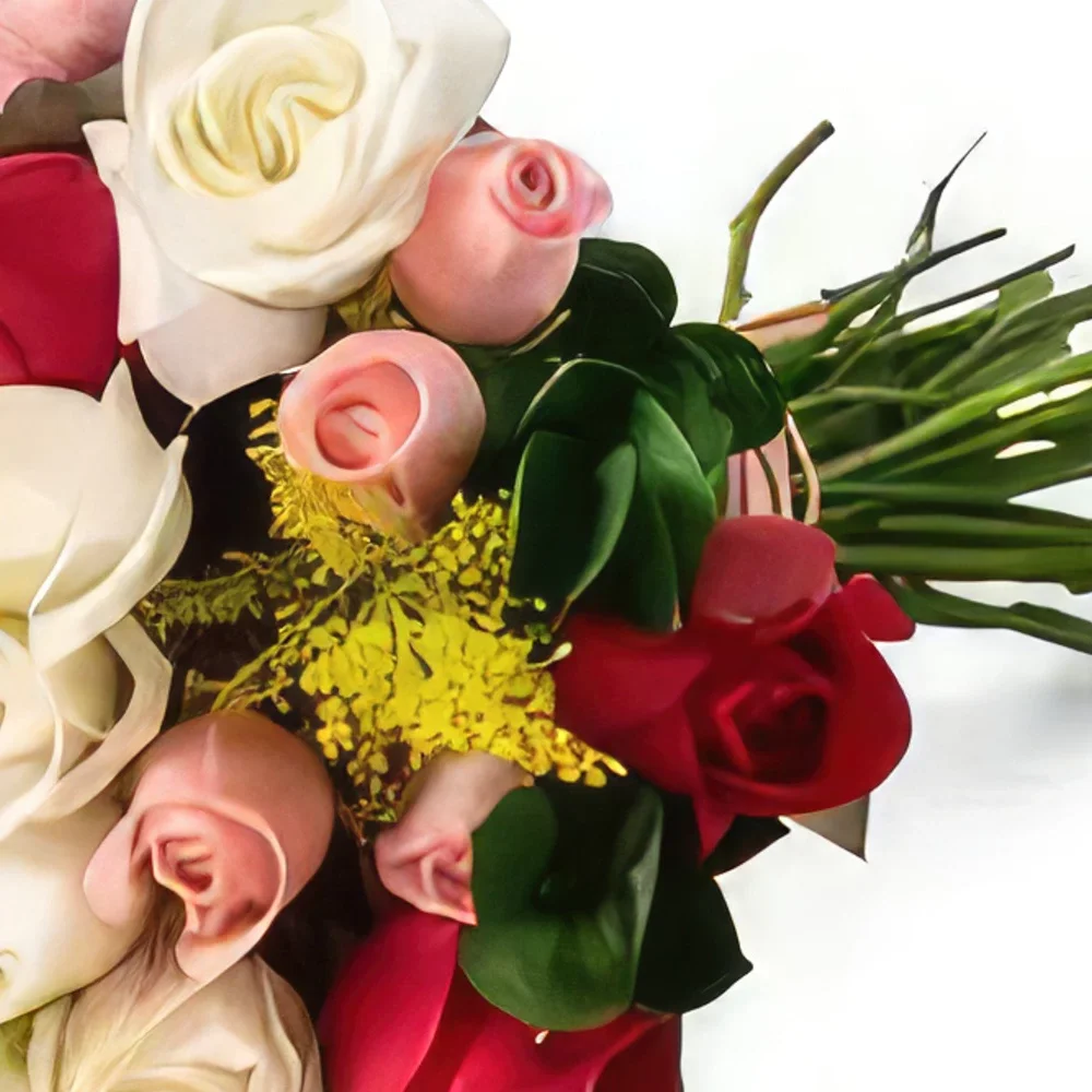 fiorista fiori di Recife- Bouquet di 36 rose a tre colori Bouquet floreale