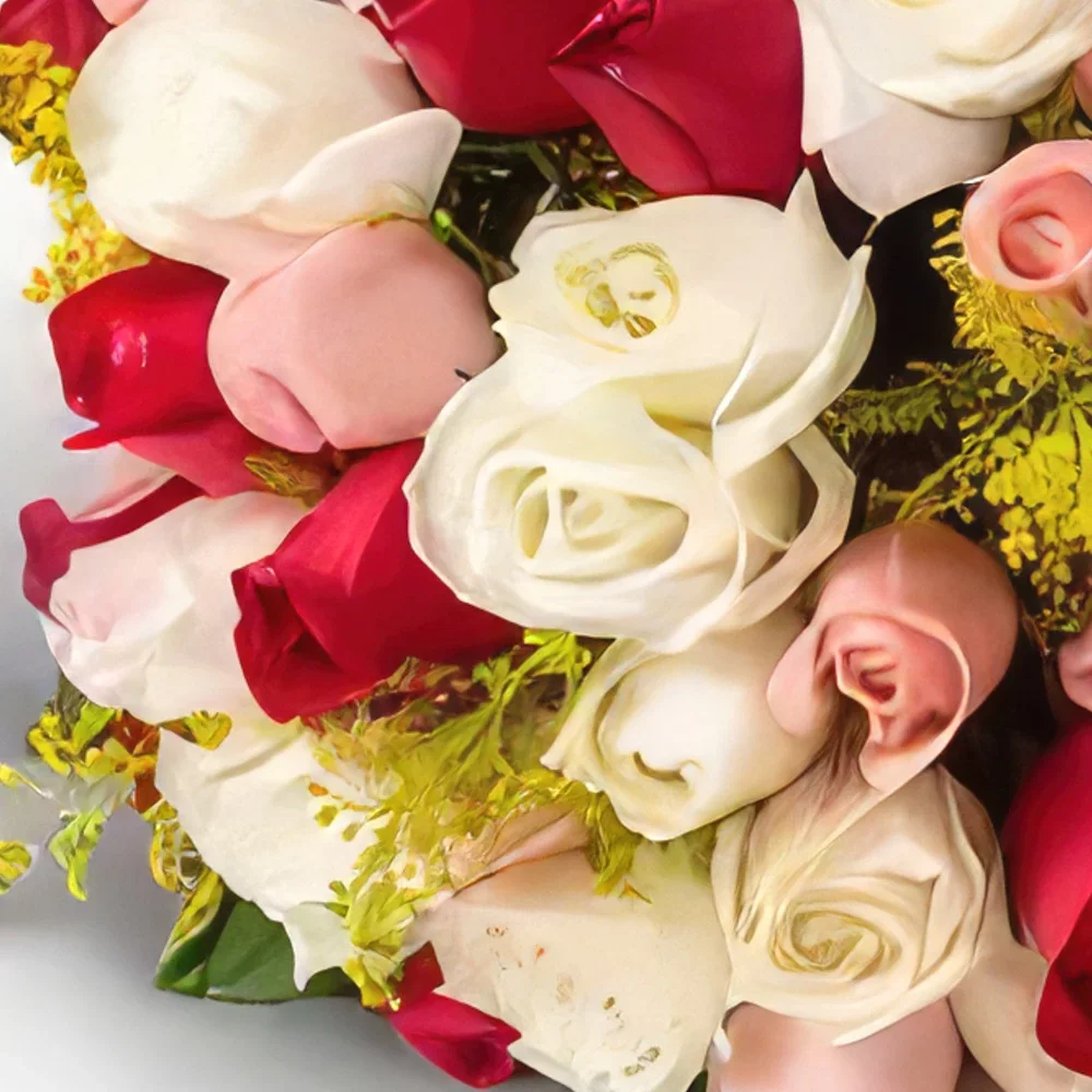 Recife Blumen Florist- Bouquet von 36 drei Farbige Rosen Bouquet/Blumenschmuck
