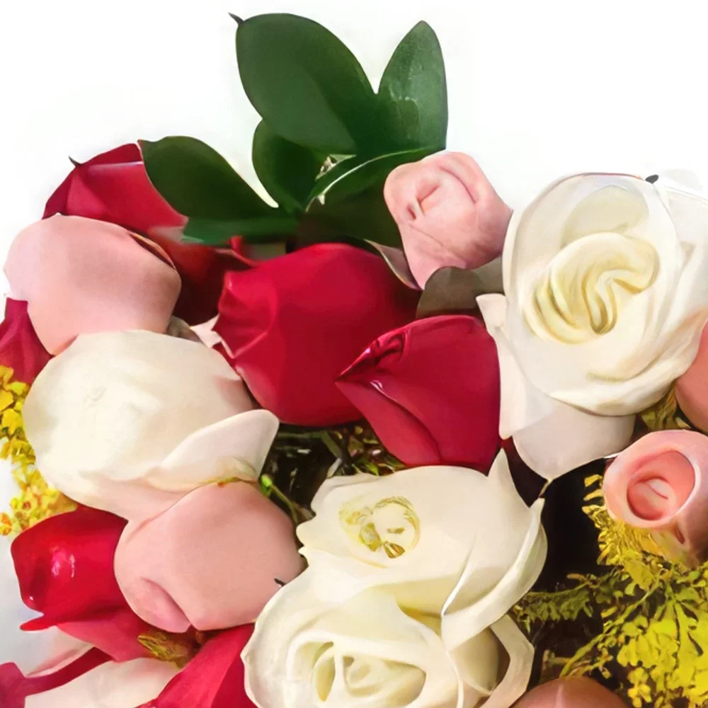 רסיפה פרחים- זר של 36 ורדים תלת צבעיים זר פרחים/סידור פרחים
