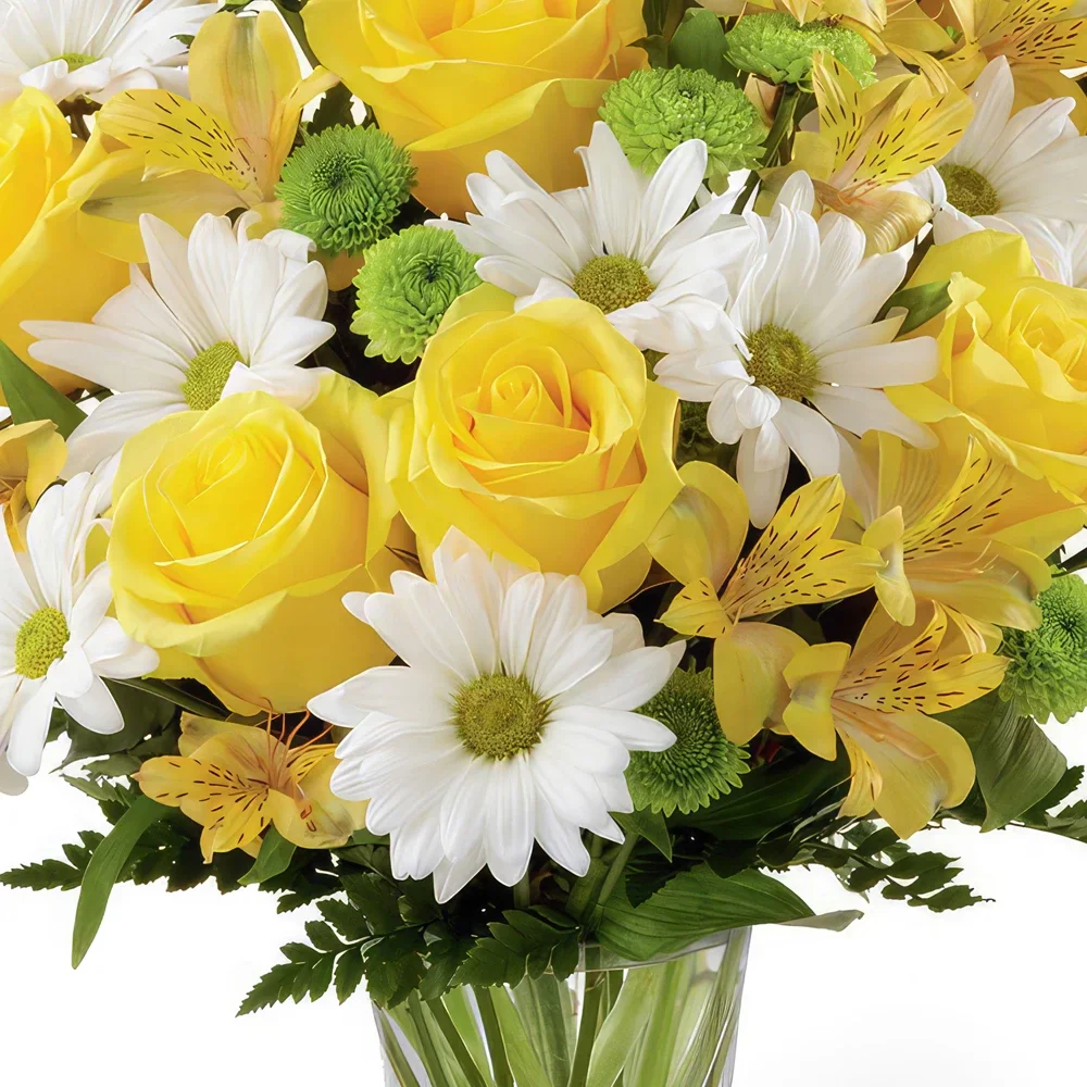 بائع زهور مونبلييه- باقة زهور صفراء وأبيض مفاجأة باقة الزهور