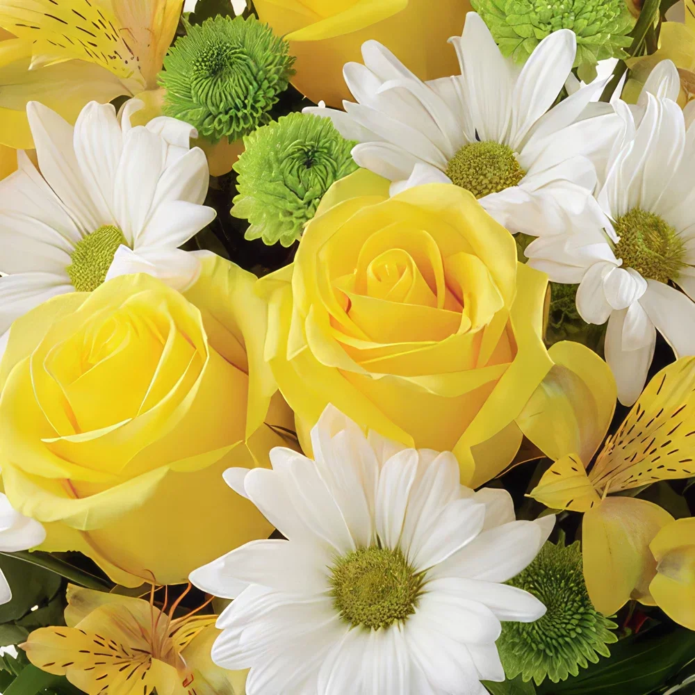 بائع زهور نانت- باقة زهور صفراء وأبيض مفاجأة باقة الزهور