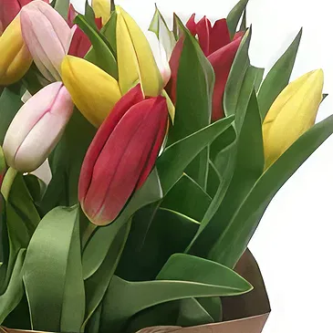 Cala Llonga flowers  -  Modern Composition Flower Bouquet/Arrangement
