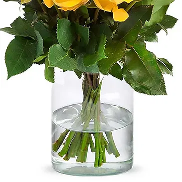 Amsterdam-Zuidoost flowers  -  Yellow roses (40 cm) Flower Bouquet/Arrangement
