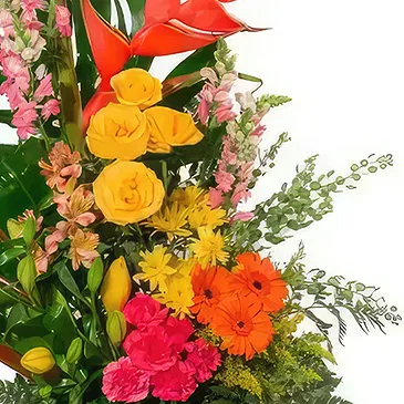 Macuilacatl Chico flowers  -  Caribbean Island Flower Bouquet/Arrangement