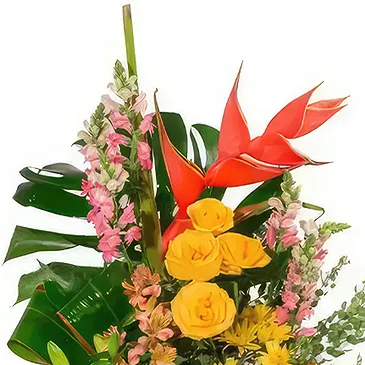 Macuilacatl Chico flowers  -  Caribbean Island Flower Bouquet/Arrangement