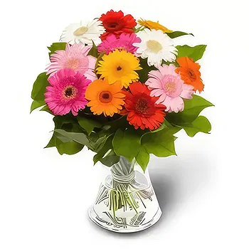 Kravino flowers  -  Colorful Smile Flower Delivery