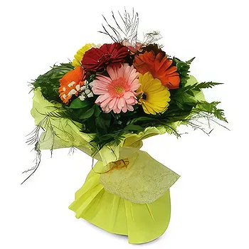 flores de Zaragoza- Dia feliz Flor Entrega