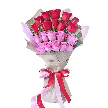 Saudi Arabia flowers  -  20 Red and Pink Roses Flower Delivery