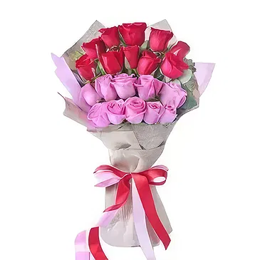 Ad Dilam blomster- 20 røde og rosa roser Blomsterarrangementer bukett