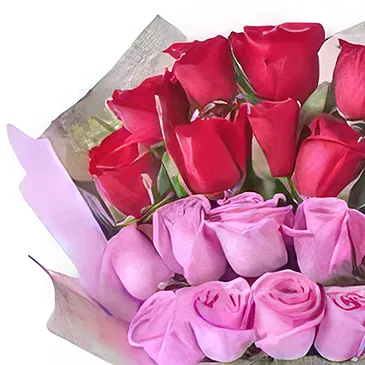 Ad Dilam blomster- 20 røde og rosa roser Blomsterarrangementer bukett