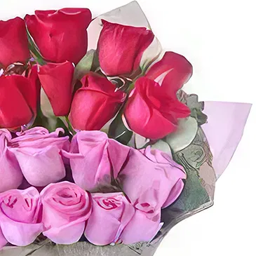 Ad Dilam blomster- 20 røde og rosa roser Blomsterarrangementer bukett