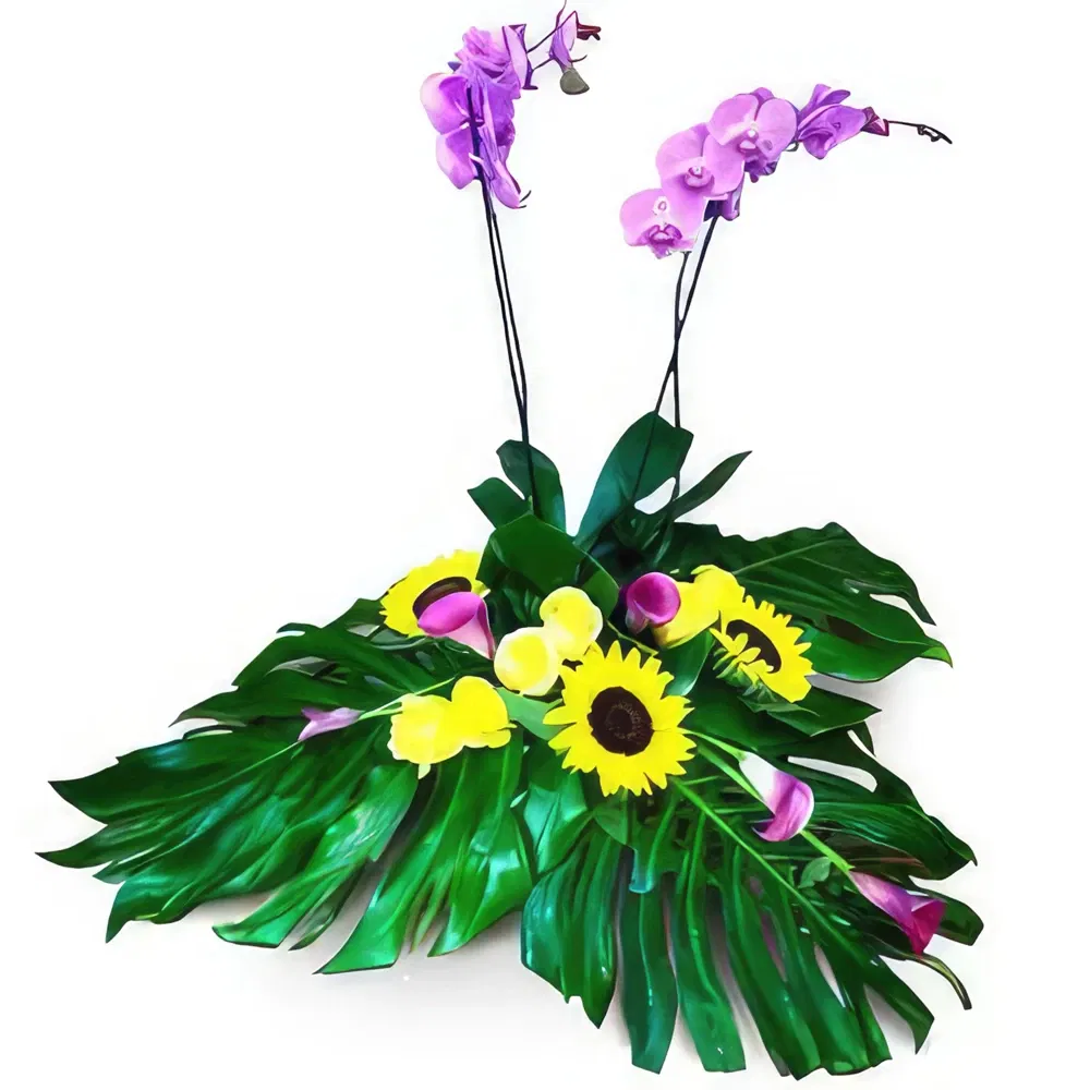 Mallorca flowers  -  Spread Love