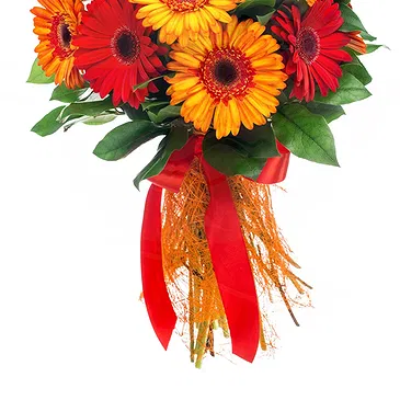 fiorista fiori di Firenze- Bouquet di Gerbere Rosse Bouquet floreale