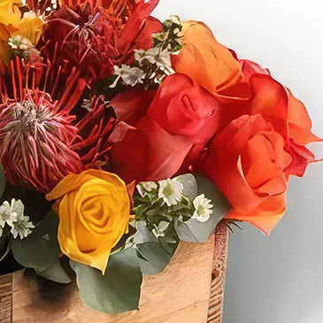 Richards Bay flowers  -  Pincushion  Box Flower Bouquet/Arrangement