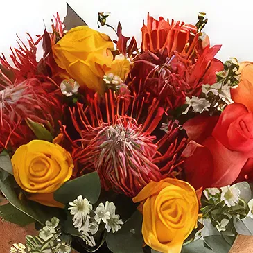 Richards Bay flowers  -  Pincushion  Box Flower Bouquet/Arrangement