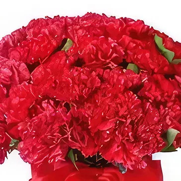 Ajman flowers  -  Red Blossom Flower Bouquet/Arrangement
