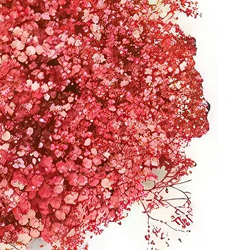 Adma flowers  -  For Love Flower Bouquet/Arrangement