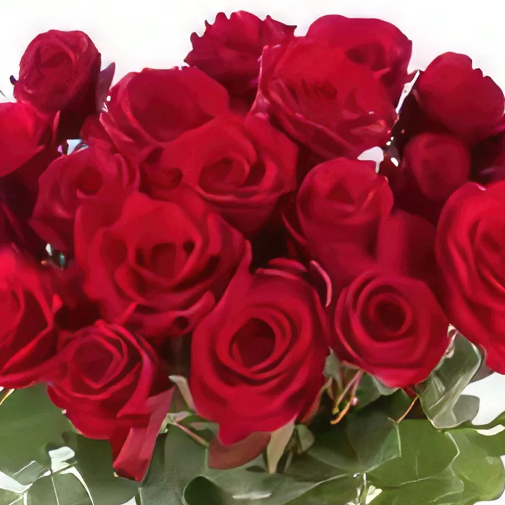 بائع زهور دريسدن- العاطفة الحمراء باقة الزهور