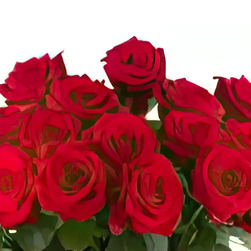 Dusseldorf blomster- Rød Phoenix II Blomsterarrangementer bukett