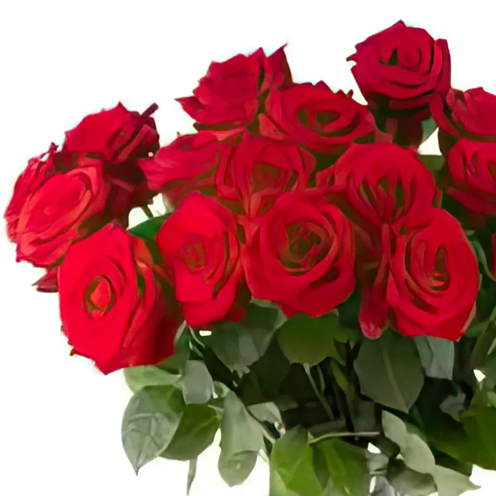 Лайпциг цветя- Червен Финикс II Букет/договореност цвете