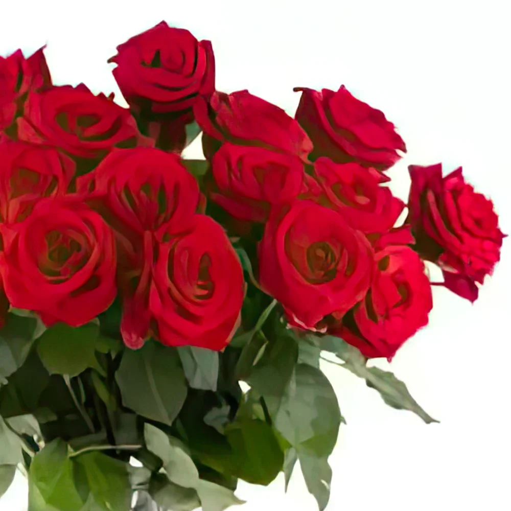 fiorista fiori di Duisburg- Fenice Rossa II Bouquet floreale