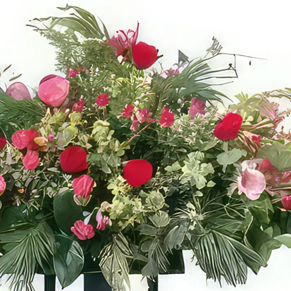Тарб цветы- Красные и розовые снегоступы Сумерки Цветочный букет/композиция