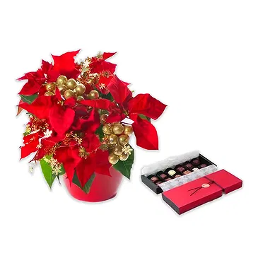 Osidda flowers  -  Red Poinsettia with Chocolates Flower Bouquet/Arrangement