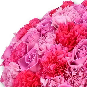 An-Najadah blomster- Rød rose og nellikbukett Blomsterarrangementer bukett
