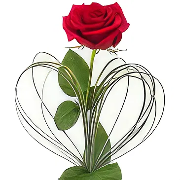 Versciaco di Sopra flowers  -  Teddy Bear with Postcard and Red Rose Flower Bouquet/Arrangement