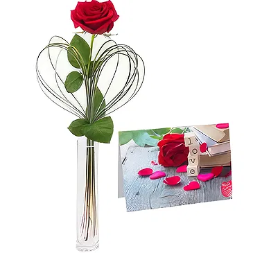 Versciaco di Sopra flowers  -  Teddy Bear with Postcard and Red Rose Flower Bouquet/Arrangement