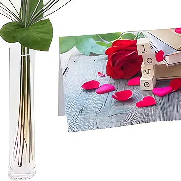 Versciaco di Sopra flowers  -  Teddy Bear with Postcard and Red Rose Flower Bouquet/Arrangement