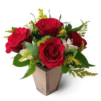 Brazil flowers  -  Small Arrangement of Roses and Astromelia Flower Delivery