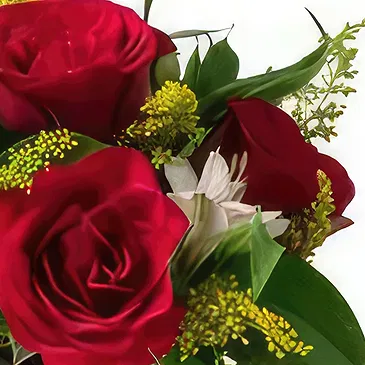 flores de Uberlândia- Pequeno Arranjo de Rosas e Astromelia Bouquet/arranjo de flor