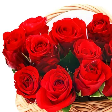 Versciaco di Sopra flowers  -  Basket of Red Roses and Soft Toys Flower Bouquet/Arrangement