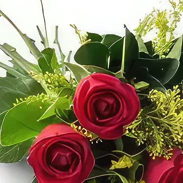 flores de Uberlândia- Buquê de 7 Rosas Vermelhas Bouquet/arranjo de flor
