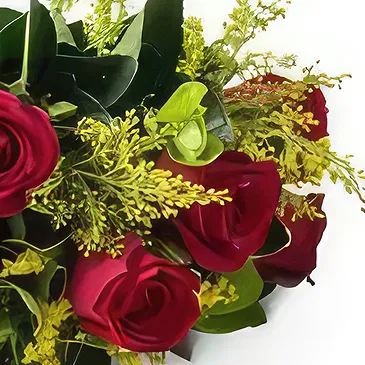 flores de Uberlândia- Buquê de 7 Rosas Vermelhas Bouquet/arranjo de flor