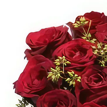 Adma flowers  -  12 Times Flower Bouquet/Arrangement