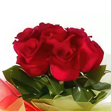 بائع زهور بوسينو- أعطيها كلها باقة الزهور
