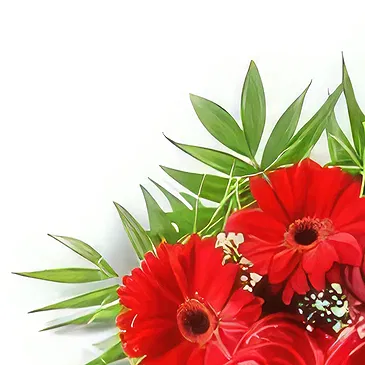 flores Alcek floristeria -  Ramo de complementos Ramo de flores/arreglo floral
