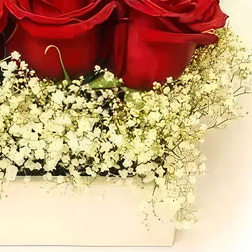 fleuriste fleurs de Petrovac na Moru- Nuage de roses romantique Bouquet/Arrangement floral