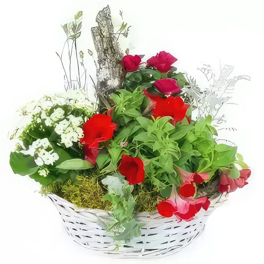 Pau bloemen bloemist- Rode en witte Rubrum plantenbeker Boeket/bloemstuk