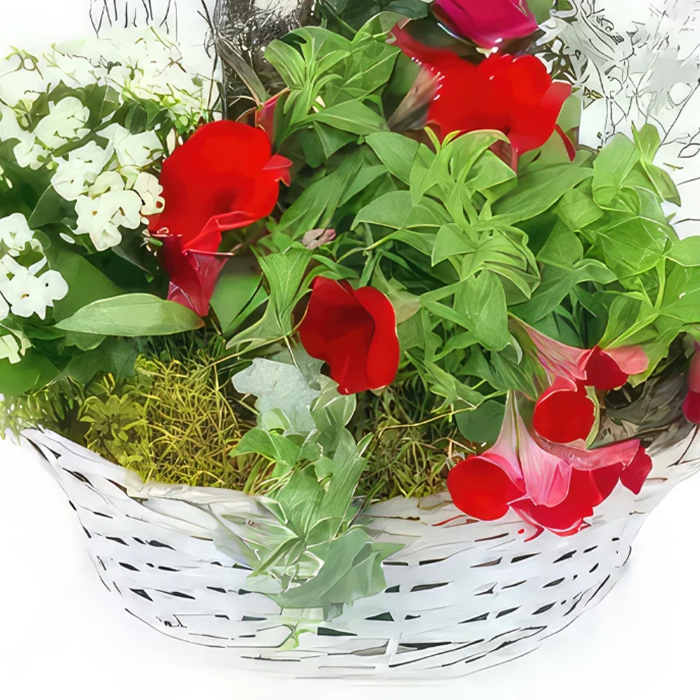 fiorista fiori di Strasburgo- Coppa per piante Rubrum rossa e bianca Bouquet floreale