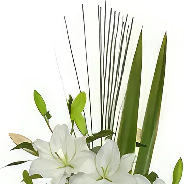 Cung Kiệm flowers  -  Pureness Flower Bouquet/Arrangement