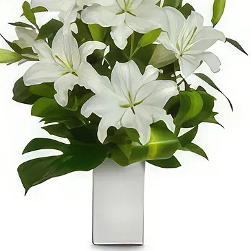 Cung Kiệm flowers  -  Pureness Flower Bouquet/Arrangement